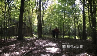 Into the woods
