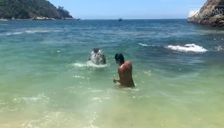 Sex on the Beach (and then some)
