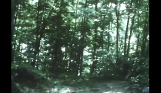 Casey 1971 Part 3