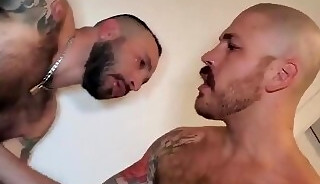 beefy hairy bear