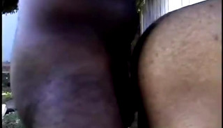 Black Pornstars Fucking In Public