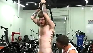 Total Domination