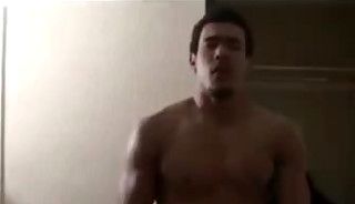 AR Fox baited