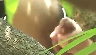 Thai Twink Out Door