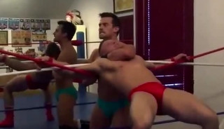 Wrestling Compilation