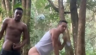 Out in the woods