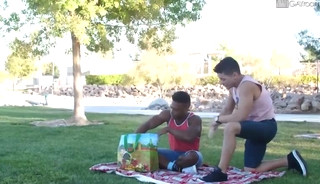Picnic In The Park