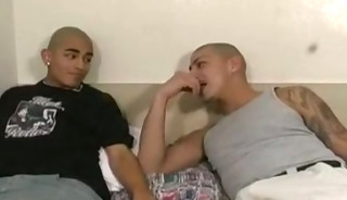 Bald Gays In Tats Hot Session