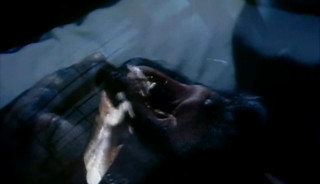 Joe Gage - Kansas City Trucking Co. (1976) DVDRip 720p ( AI -  enhenced )