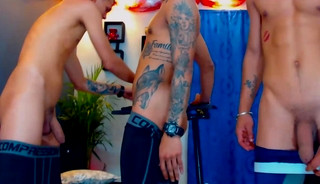 boys_exotic