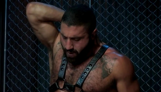 SHAROK & LUCAS LEON