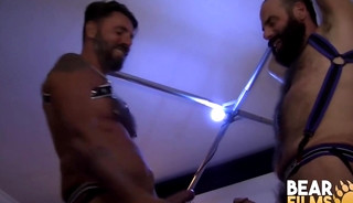 BEARFILMS Big Hairy Bears Swallow Huge Cocks before Banging