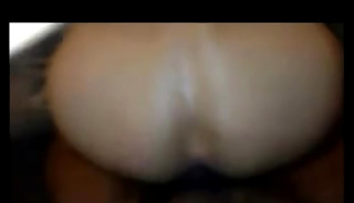BBC breeding compilation