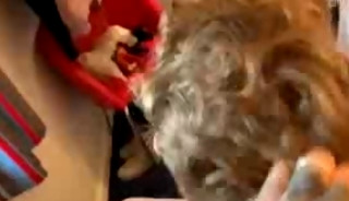 Daddy Bareback Punishes his Naughty Teen Boy