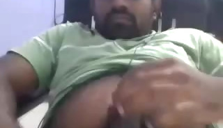 Hot Indian Bear