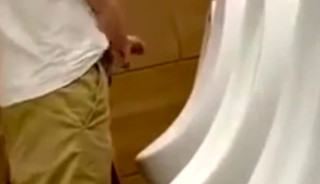 PISSING BRAHS PPT Trainer