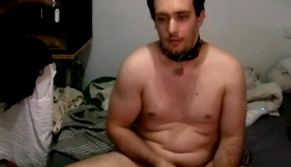 kevin lieto's dog compilation