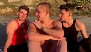 Ash, Theo & Kuper bare