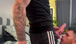 Stuffed with XXL