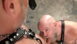 Hot daddies fuck