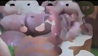 frottage cock to cock compilation