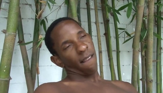 Lamont