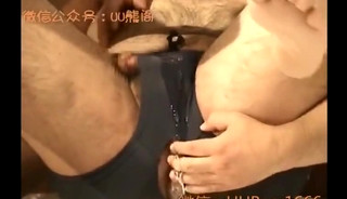 Japanese bears 20