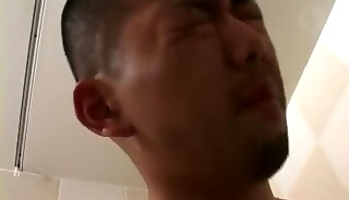 Japanese Chub 001