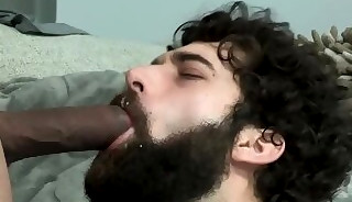 Muscly hairy stud tugging and sucking