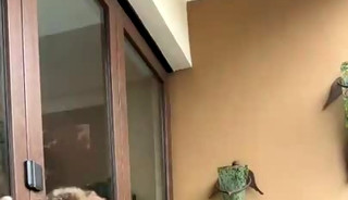 Daniel and Patrick - Couple Fuck 0nlyfans