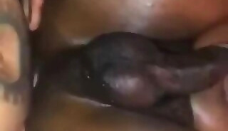 Phat rabbit balls deep in juicy hole