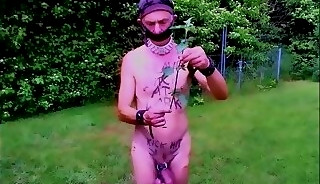 naked slave pig exposed public outdoor dildo ass nettle urethra dirty body writing BDSM CBT