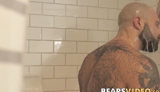 Atlas Grant shows off that bear body and tugs on his dick