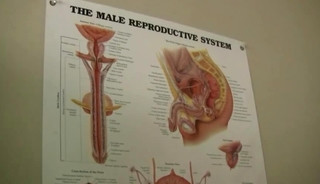 HotGayList in Hospital Pack 2-8