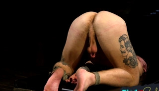 Smacked and clamped stud fed doms cock