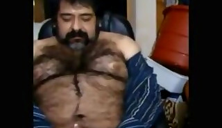 Big hairy bear and hairy body