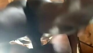 Just Tryna Do Laundry