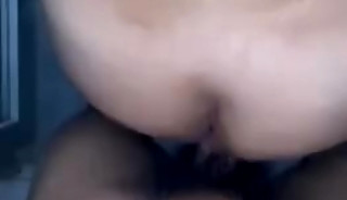 fourdickus
