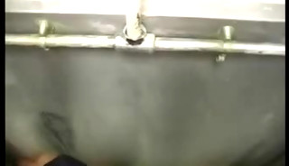video 342