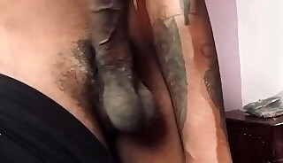 Sri Lanka black cocks