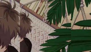 ❤️🌊Dante - Gleaming Waverider🌊❤️