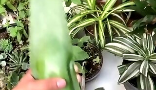 HotBoy11 - fudendo a babosa