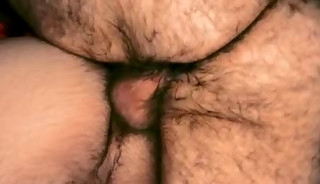 Bacon Bear Bar Toilet Rendezvous