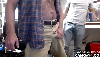 Two hairy mature bears touching each other