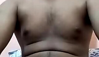 Mangalore stud