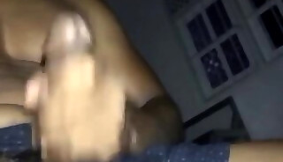 Sri Lanka Cock