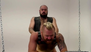 Bald Superchub Drilling Red Bear