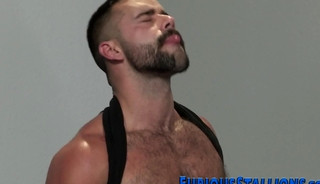 Muscled bear gets dong publicly sucked