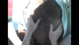 cruising Summer Hairy Daddy