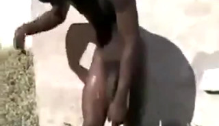 Str8 african men stroke public for money